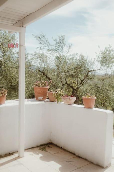 Holiday home House Gianouleika
